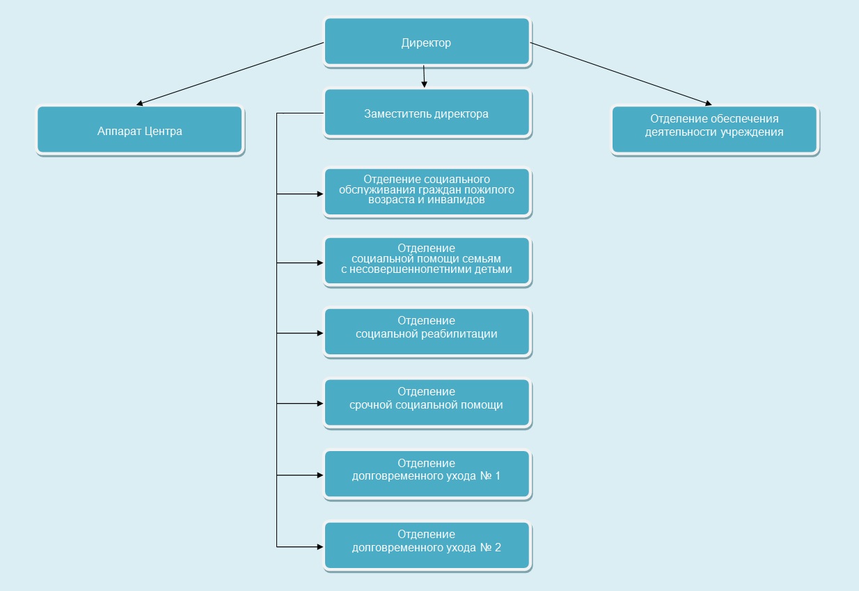 Структура организации